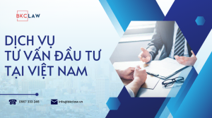 Tư vấn đầu tư tại Việt Nam: Ngành nghề và kinh nghiệm thực tiễn