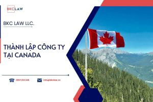 Thành lập công ty tại Canada: Điều kiện, thủ tục, chi phí cập nhật mới