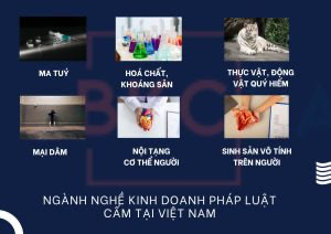 Tư vấn đầu tư tại Việt Nam: Ngành nghề và kinh nghiệm thực tiễn