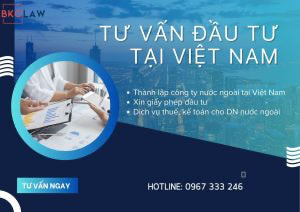 Tư vấn đầu tư tại Việt Nam: Ngành nghề và kinh nghiệm thực tiễn