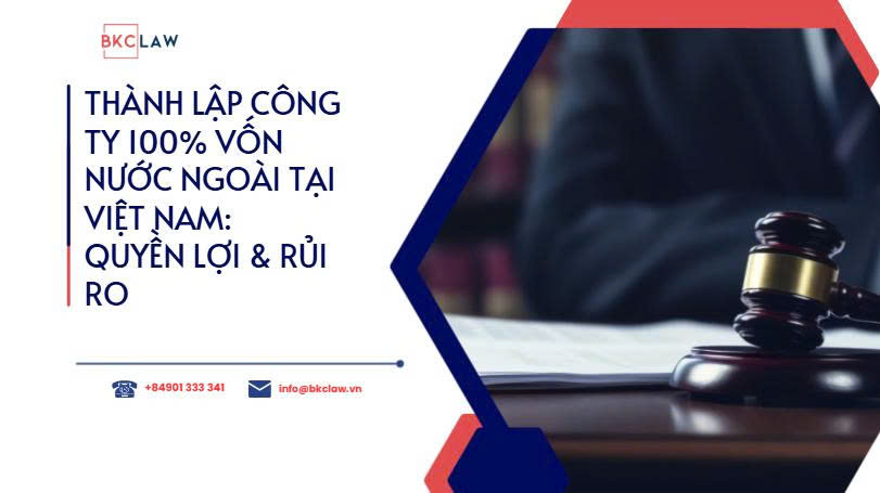 Thành lập công ty 100% vốn nước ngoài tại Việt Nam: quyền lợi và rủi ro 