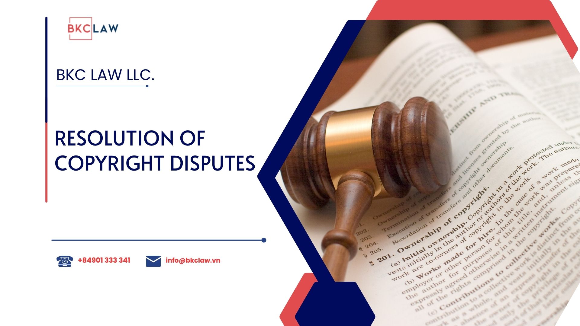 Resolution of Copyright Disputes with Support from Specialized Lawyers