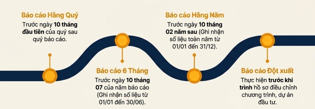 Các báo cáo mà nhà đầu tư FDI cần thực hiện sau khi thành lập
